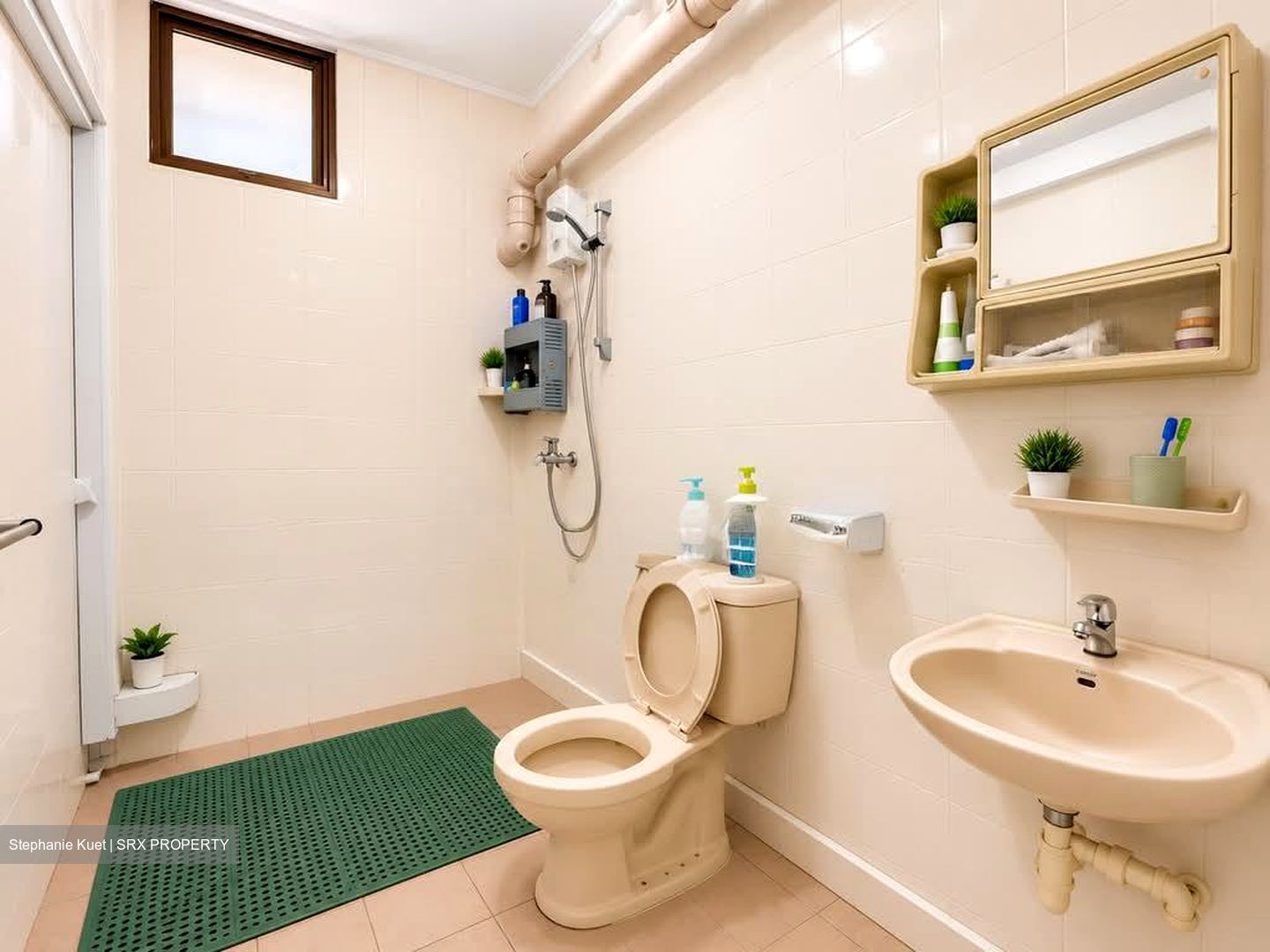 Blk 290F Spring View (Bukit Batok), HDB 5 Rooms #599709221